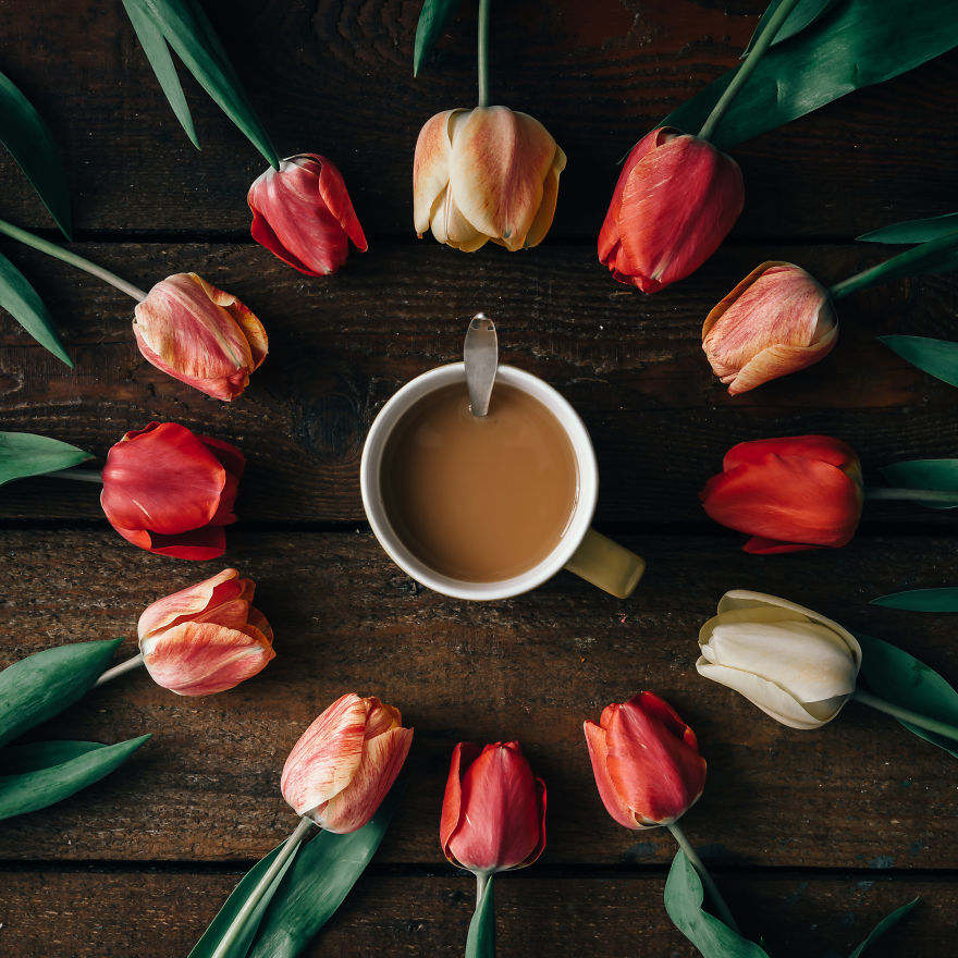 This Photographer Turns Flowers And Leaves To Art Objects