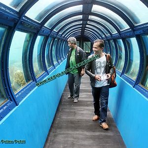 kepulauanseribujakarta avatar