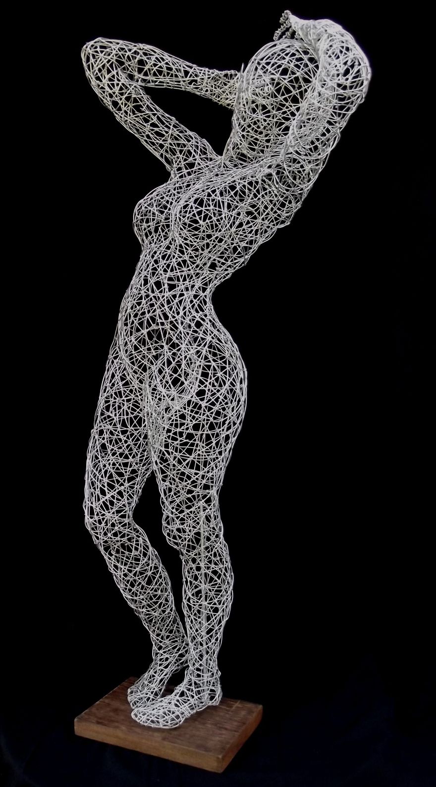 I Use Wire To Create These Sculptures I Use Wire To Create These Sculptures