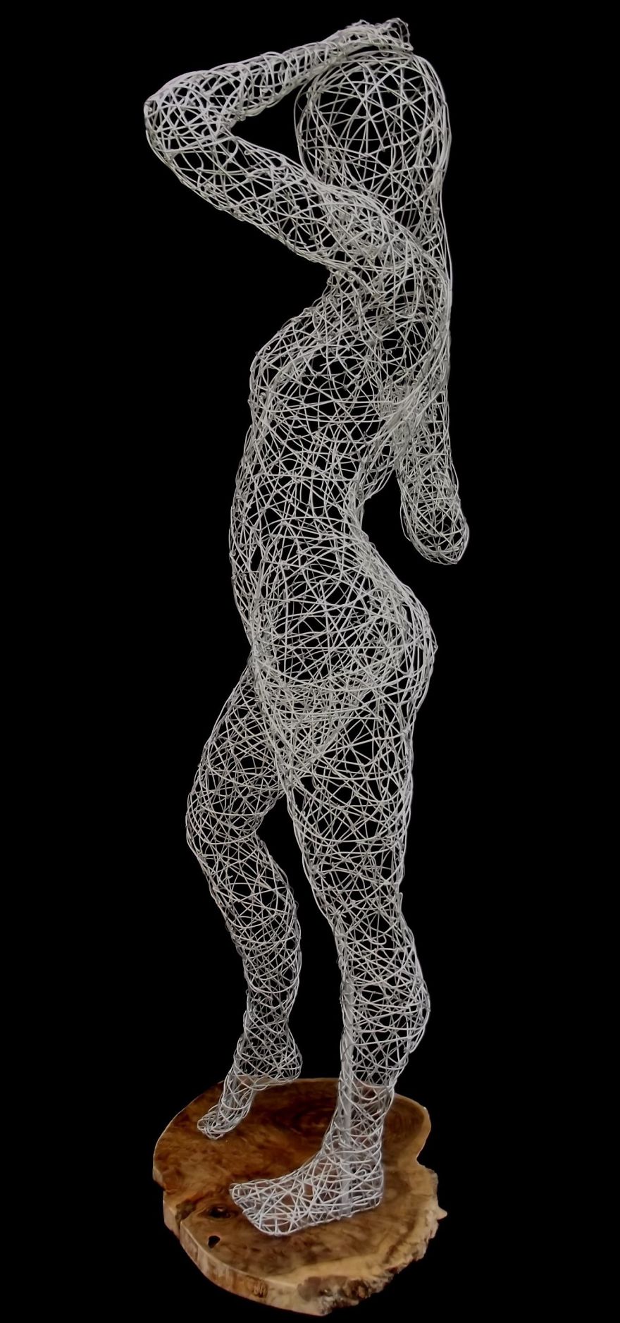 I Use Wire To Create These Sculptures I Use Wire To Create These Sculptures