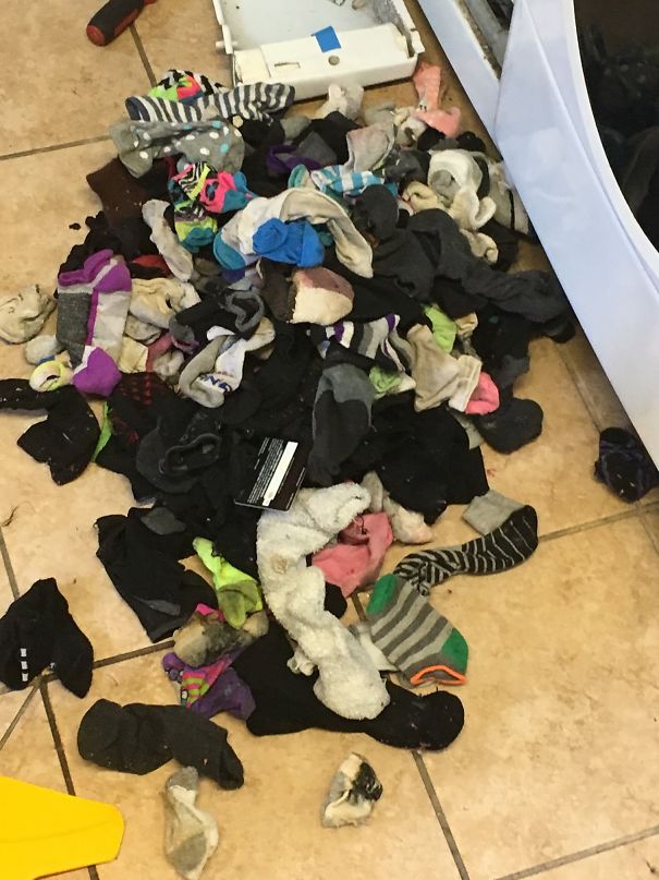 Turns Out Washing Machines Do Eat Socks, But There Were More Surprising Things That We Found&hellip;