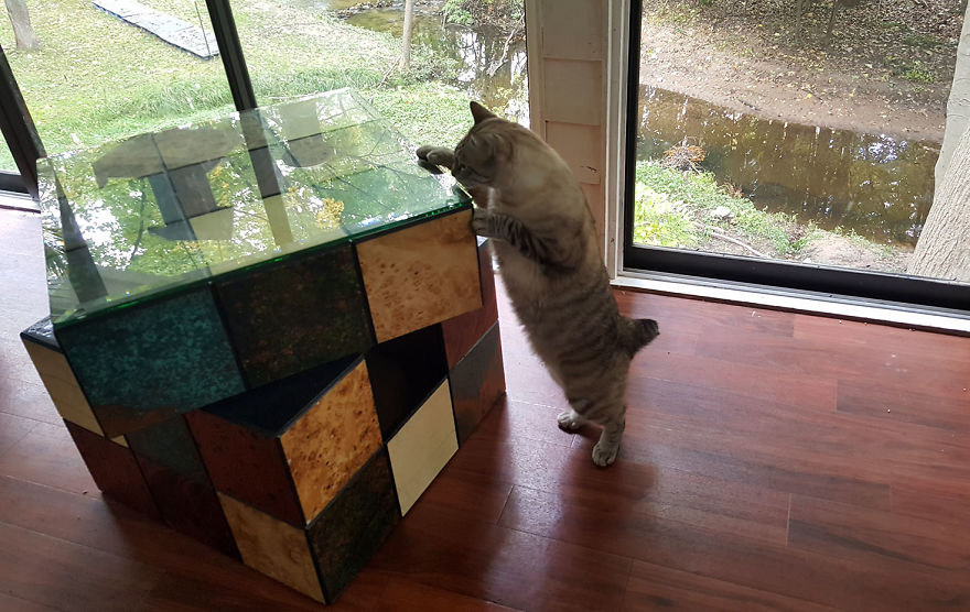 We Built A Rubik's Cube Bed For Our Cat