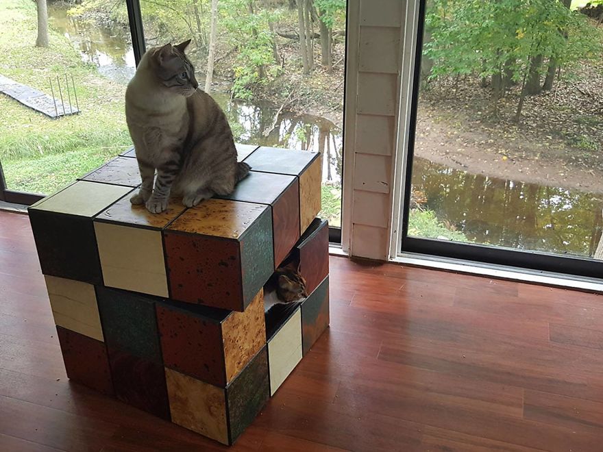 We Built A Rubik's Cube Bed For Our Cat