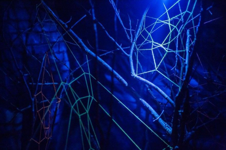 We Turned An Abandoned House Into A Forest Temple We Turned An Abandoned House Into A Forest Temple