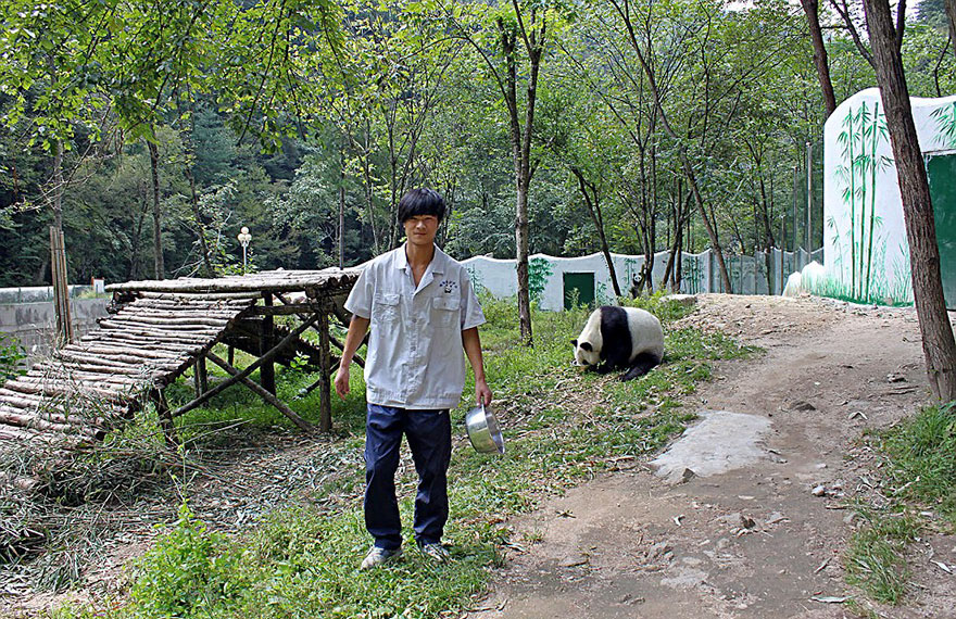 A man caretaker with a bowl in his hand and a panda sitting on the ground in the valley reserve