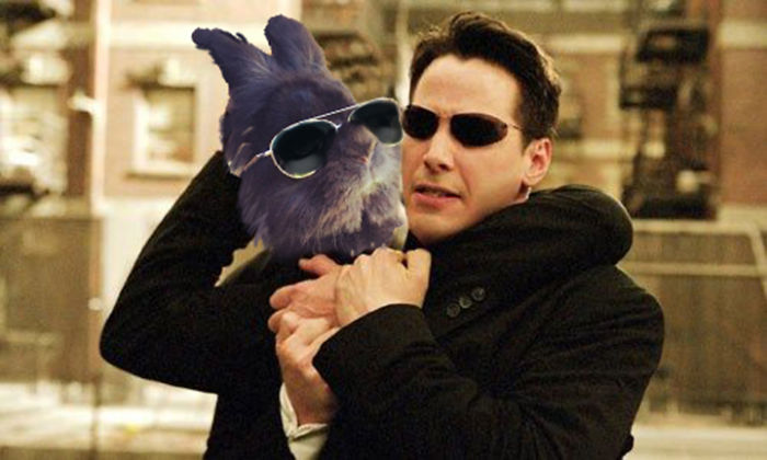 Let Go Of My Arm Mr. Anderson!