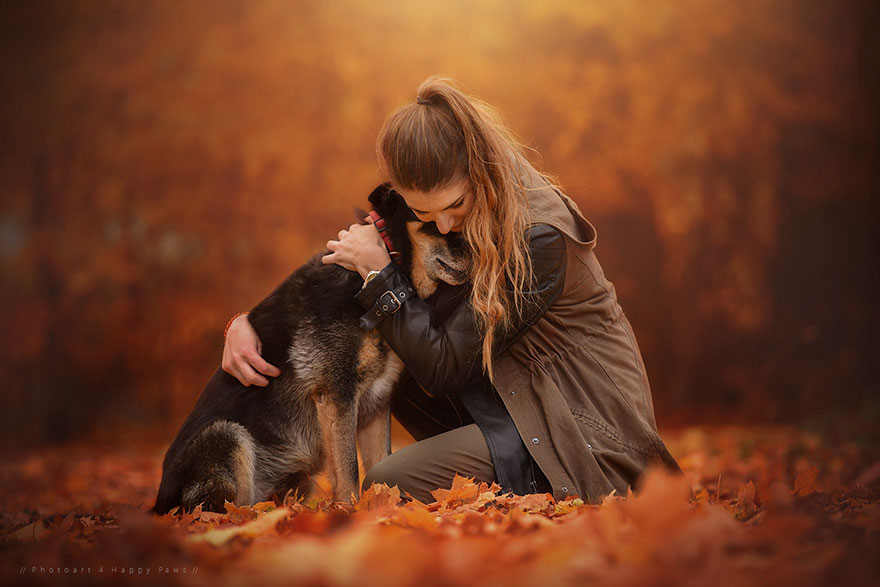 autumn-dog-photography-anne-geier-31 autumn-dog-photography-anne-geier-31
