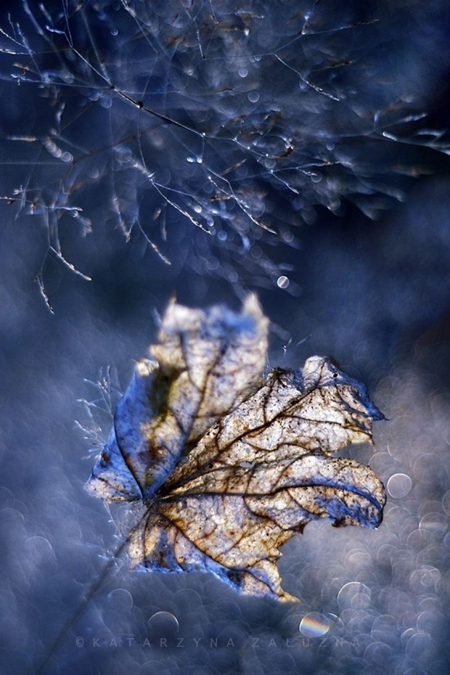 My Impressionist Photos Of Autumn In Poland My Impressionist Photos Of Autumn In Poland