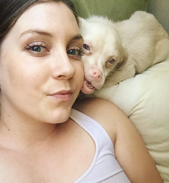 bat-dog-tucker-6 bat-dog-tucker-6