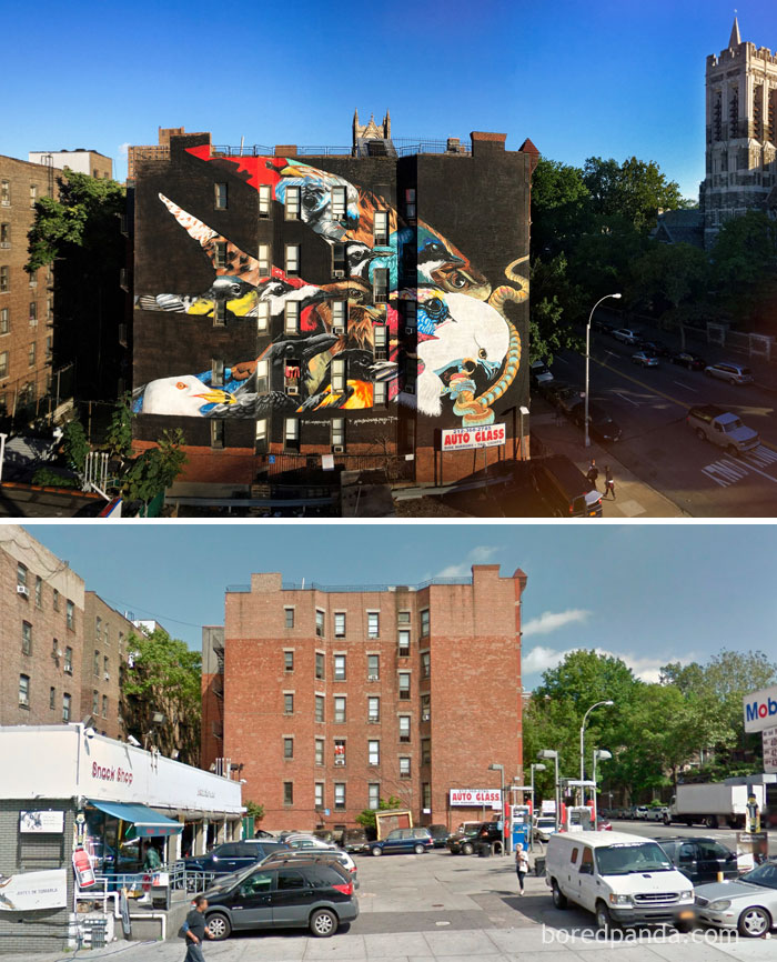 Swallow-Tailed Kite, New York City, NY, USA