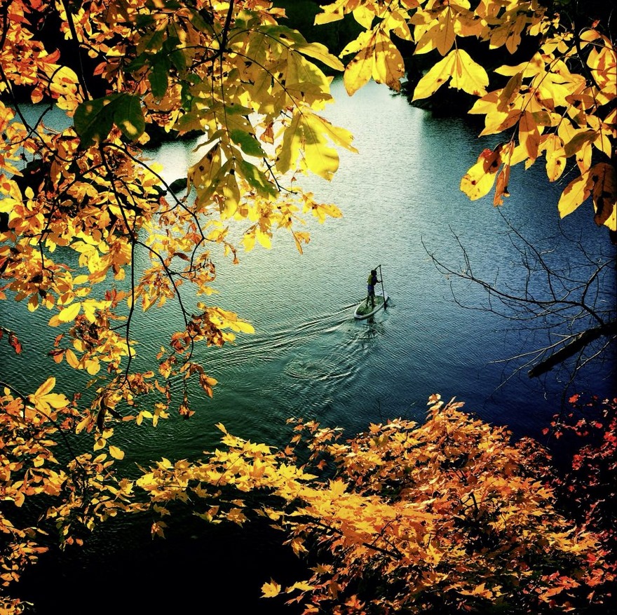 Mobile Category Finalist, Potomac, MD, United States