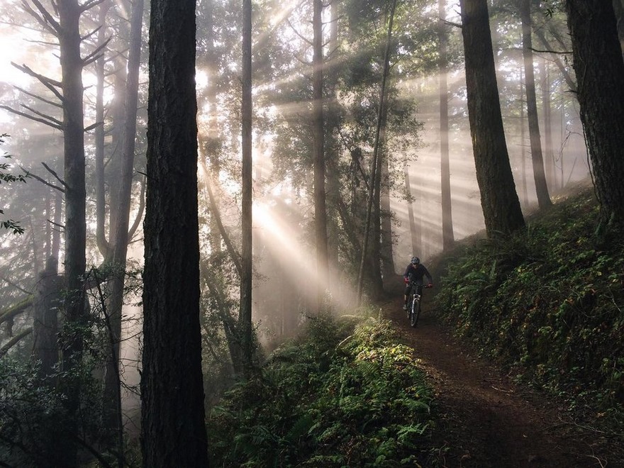 Mobile Category Finalist, Fairfax, CA, United States