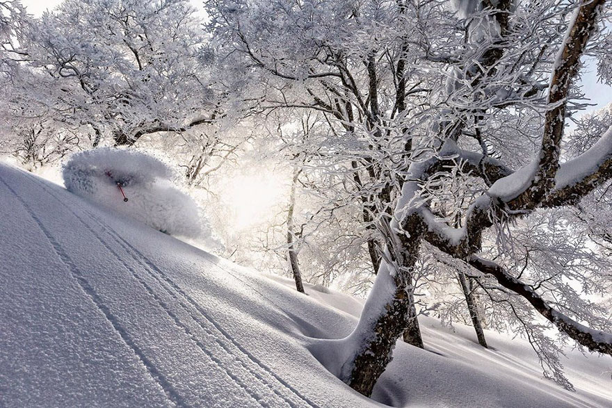 Masterpiece Category Finalist, Nozawa Onsen, Japan