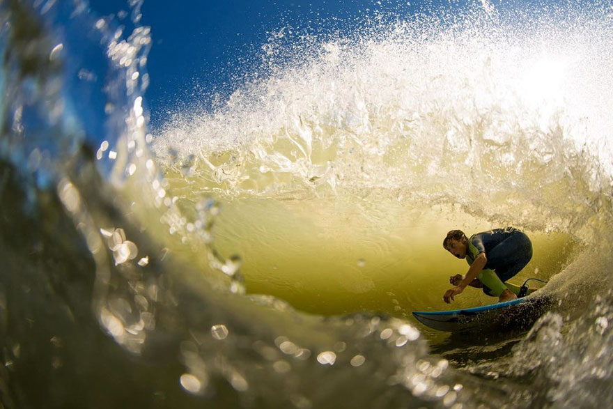 Close Up Category Finalist, Outer Banks, NC, United States