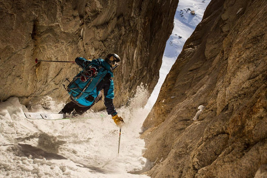 Close Up Category Finalist, Sierra Nevada, CA, United States