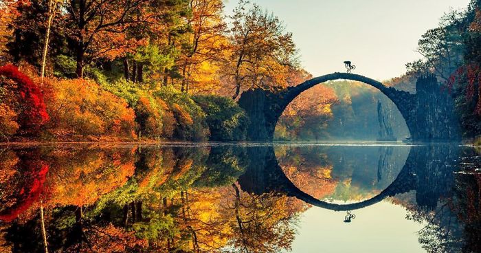 70 Of The Most Powerful Action Photos Of 2016