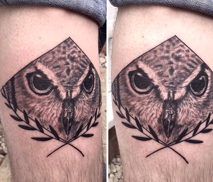 Small bird tattoo of an owl with intricate detailing and leaf accents.
