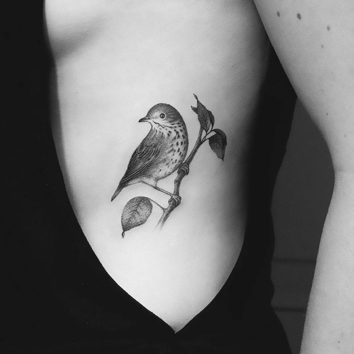 Small bird tattoo on side torso, detailed and shaded, featuring a perched bird on a branch with leaves.