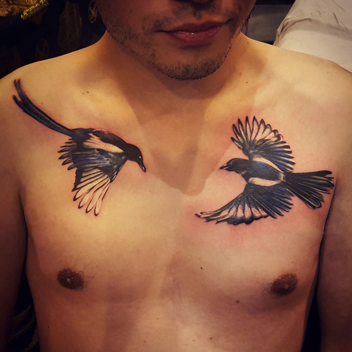 Small bird tattoos of magpies on a man's chest, showcasing vibrant ink details and dynamic poses.
