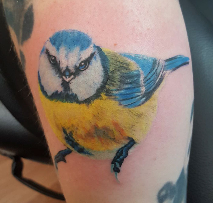Colorful small bird tattoo featuring a blue and yellow design on a person's arm.