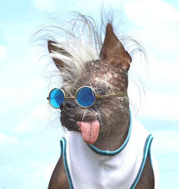 My Dog, Squiggy Check Him Out On Fb At Squiggy Dog