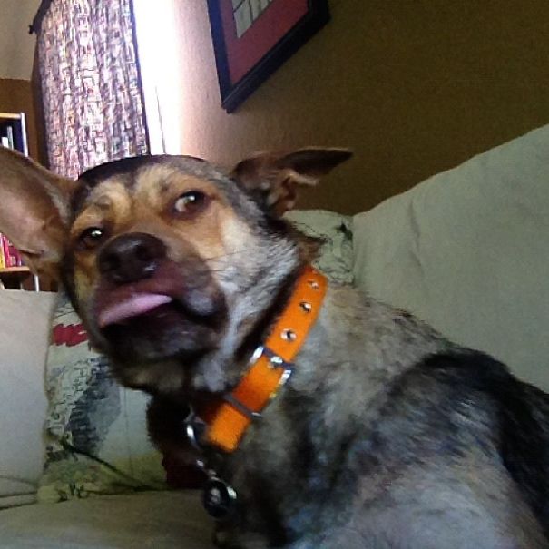 He's Honestly Quite Cute.....