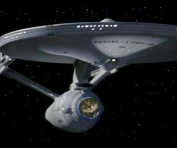 Cat + Uss Enterprise.