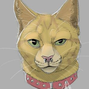 little_candyheart avatar