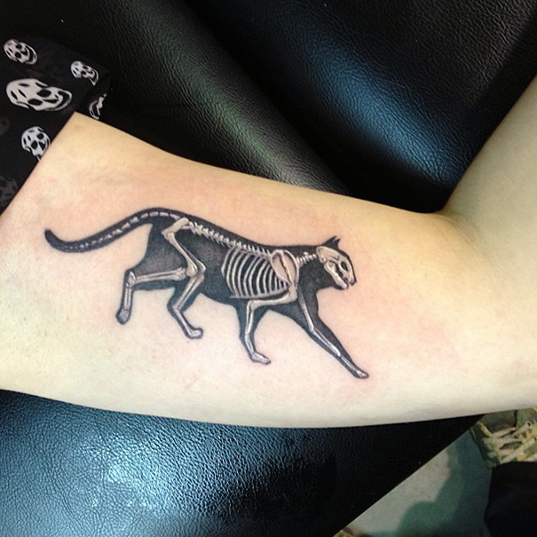 Cat tattoo featuring a skeleton design on someone's arm, showcasing creative expression for cat persons.