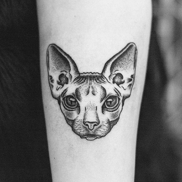 Sphynx cat tattoo on forearm, showcasing detailed shading and lines, perfect for expressing your love as a cat person.