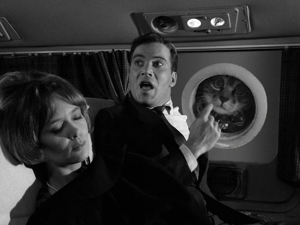 Catmare At 20,000 Feet