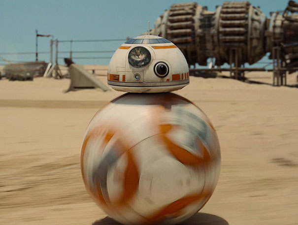 BB-8 Cat!