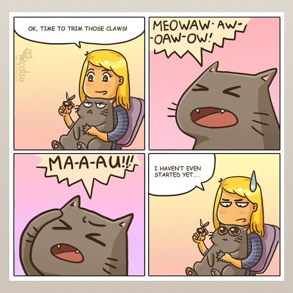 Funny-cat-comics-catsu