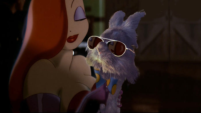 Who Framed The Bunny