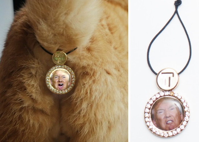 CatAssThrophy: Cat Jewelry To Cover Their Bums