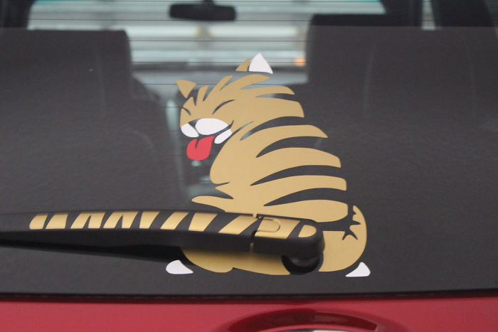 Cat Wiper