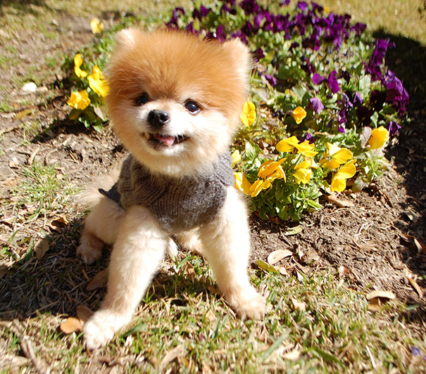 Tj Showing Off His New Sweater