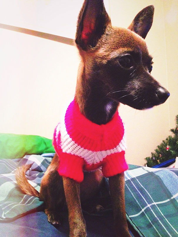 Tila In Her Christmas Sweater