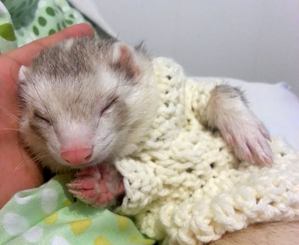 Made My Baby A Hand-Made Sweater