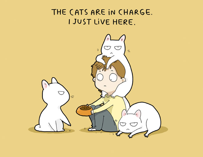 I Created A Cat Calendar To Make 2017 The Most Purrfect Year Ever