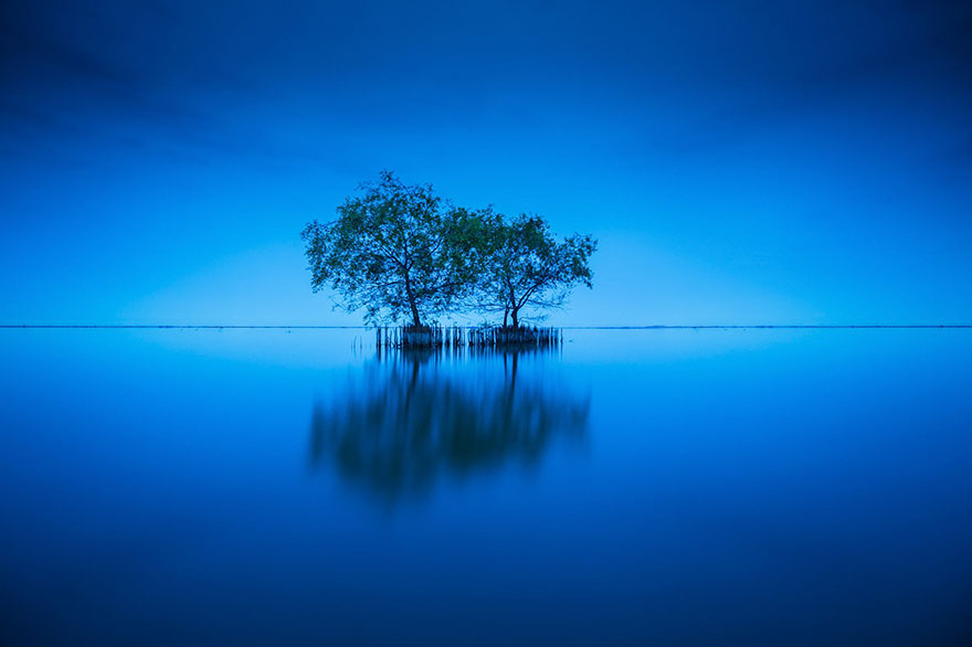 documentary-intelligent-trees-peter-wohlleben-suzanne-simard-4