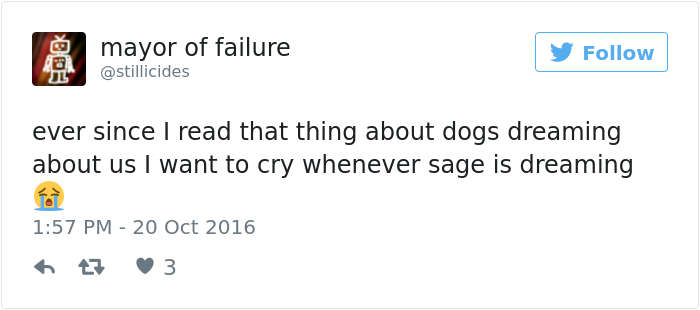 dogs-dream-about-humans-10