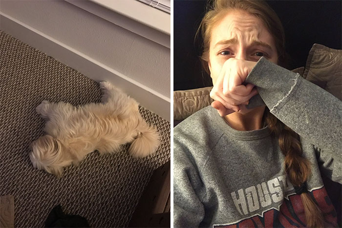 dogs-dream-about-humans-18 dogs-dream-about-humans-18