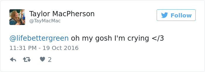 dogs-dream-about-humans-8 dogs-dream-about-humans-8