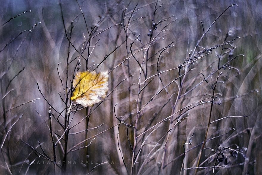 My Impressionist Photos Of Autumn In Poland My Impressionist Photos Of Autumn In Poland