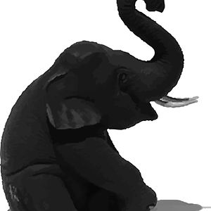 this.is.alice avatar