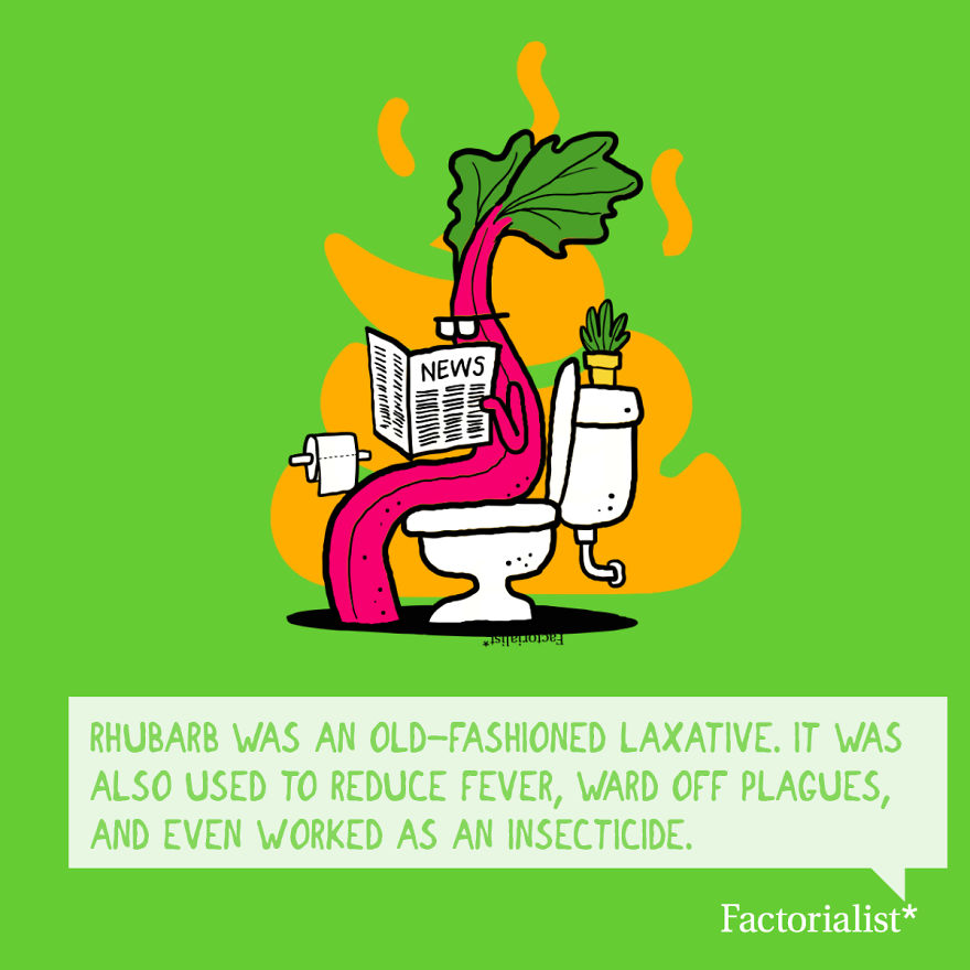 Deliciously Interesting Facts About Your Favorite Desserts