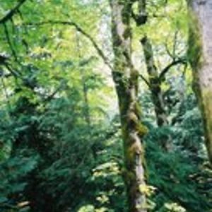 maggiedougherty52 avatar