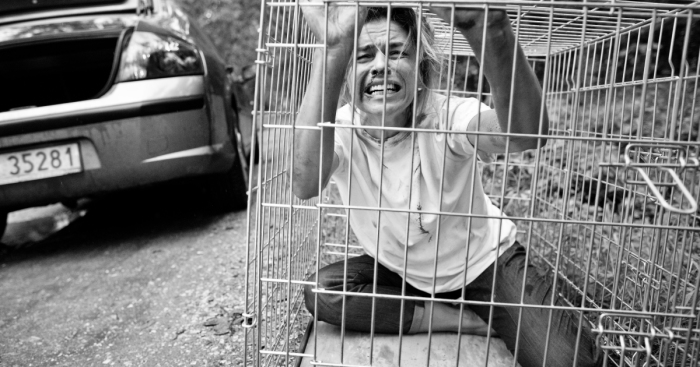 Polish Charity Launched A Social Campaign Aimed To Fight Against Pets’ Abandonment