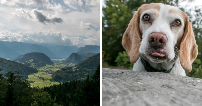 I Hiked Through Slovenia With My Dog For Two Weeks